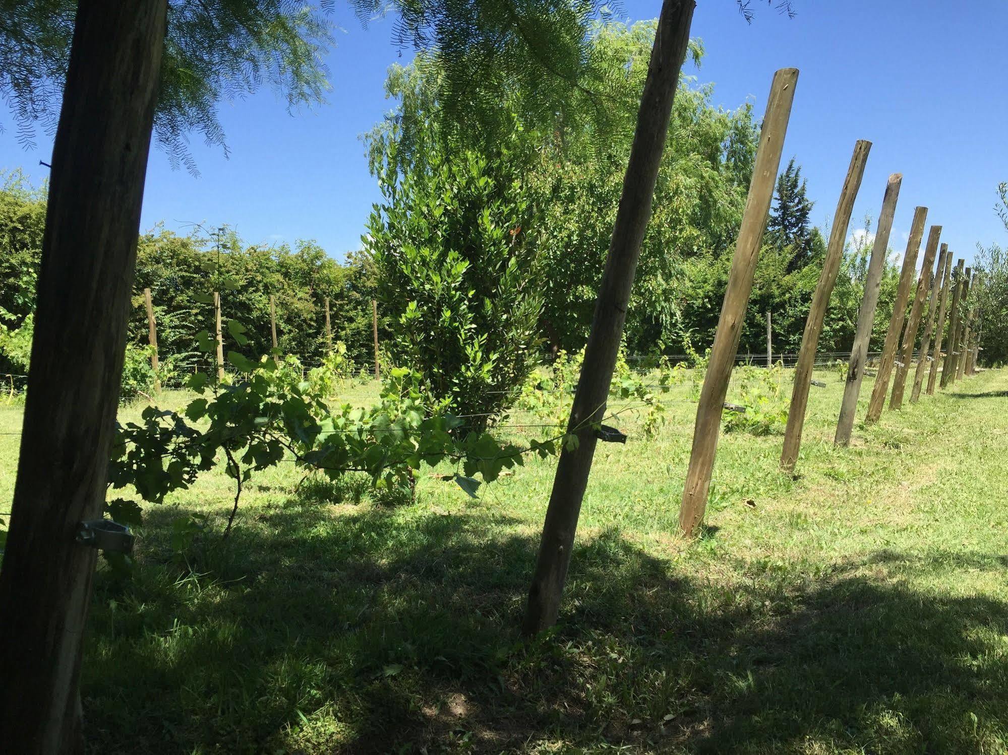 Tikaykilla Lodge & Wines Maipú Екстериор снимка