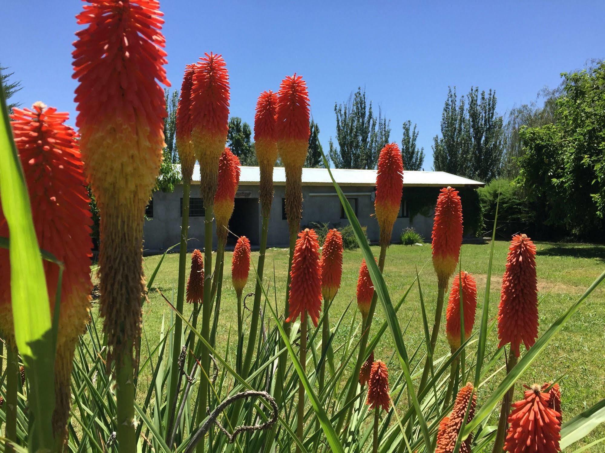 Tikaykilla Lodge & Wines Maipú Екстериор снимка